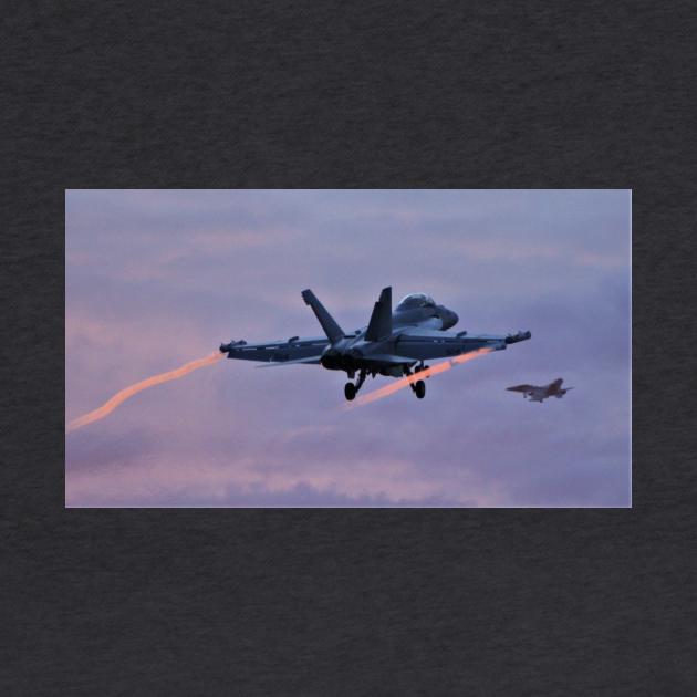 Navy Super Hornets at dusk by acefox1